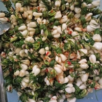 Cơ  sở  sản  xuất Kiệu hương Hòa Nhơn