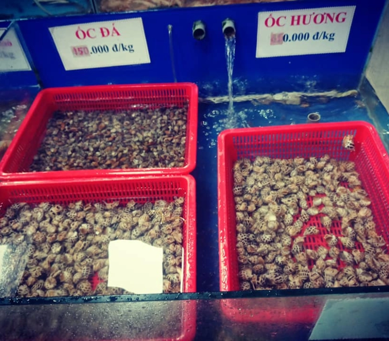 nha-hang-phuoc-thai